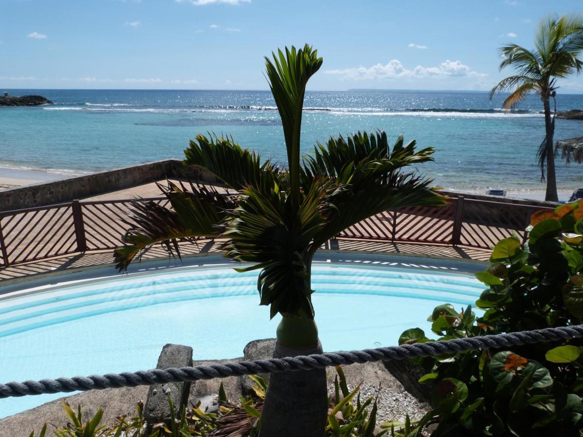 Studio Vue Mer Piscine Plage Kaz Punch Manganao Chez Julie Saint-Francois  Luaran gambar