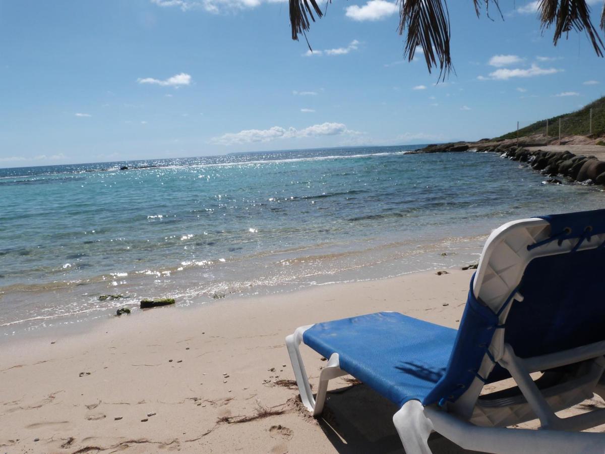 Studio Vue Mer Piscine Plage Kaz Punch Manganao Chez Julie Saint-Francois  Luaran gambar